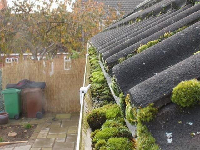 Gutter Before Cleaning