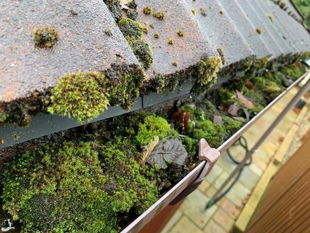 Gutter Before Cleaning