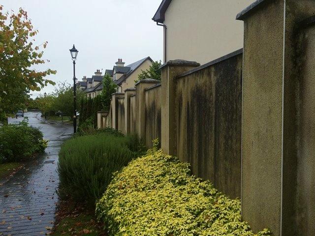 Gutter  Before Cleaning