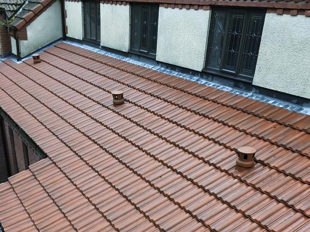 Roof After Cleaning