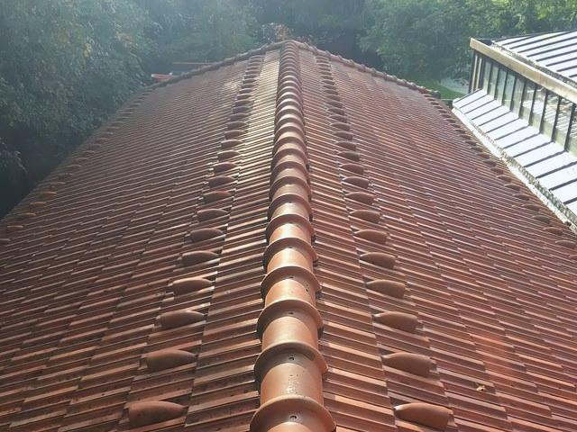 Roof After Cleaning