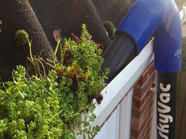 Gutter Cleaning Services in Hull
