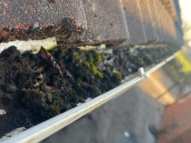 gutter-cleaning-23