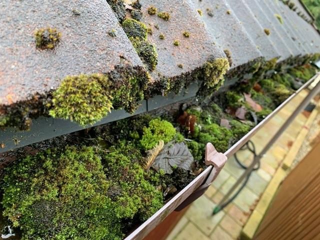 gutter-cleaning-21