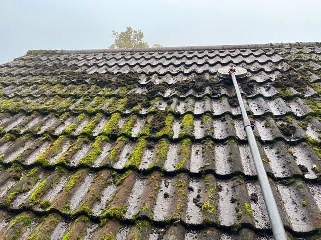 roof-cleaning-5