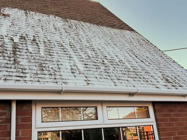 roof-cleaning-1